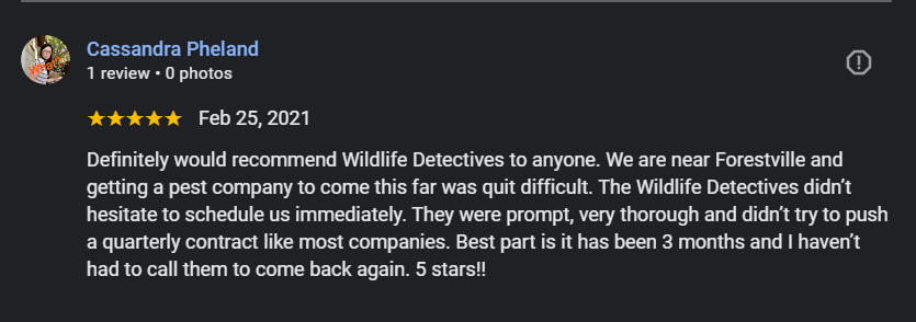 wildlifedetectives-pvs01