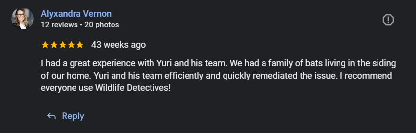 wildlifedetectives-pvs03